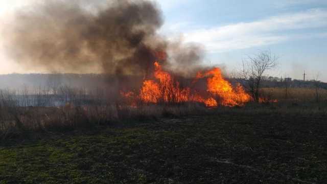 В сети опубликовали видео серьезного пожара в Станице Луганской