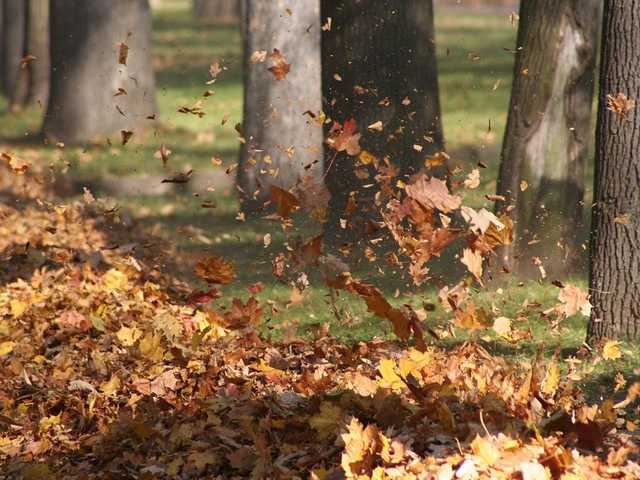 В Киеве объявлен наивысший уровень штормовой опасности