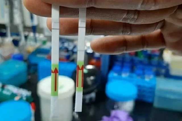 В Индии разработали быстрый бумажный тест на COVID-19