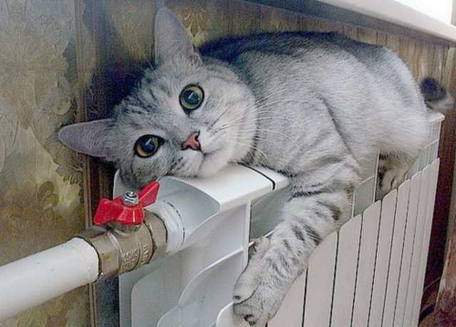 В пятницу в Киеве стартует отопительный сезон