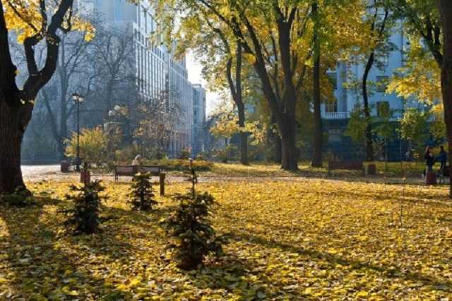 До +22 градусов: какой будет погода в пятницу и на выходных