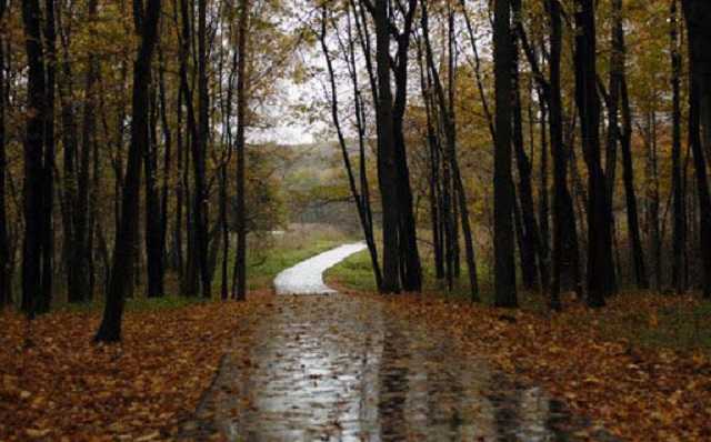 В Украину в субботу вернутся дожди