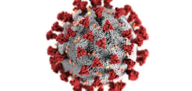 COVID-19 может понизить умственные способности – ученые