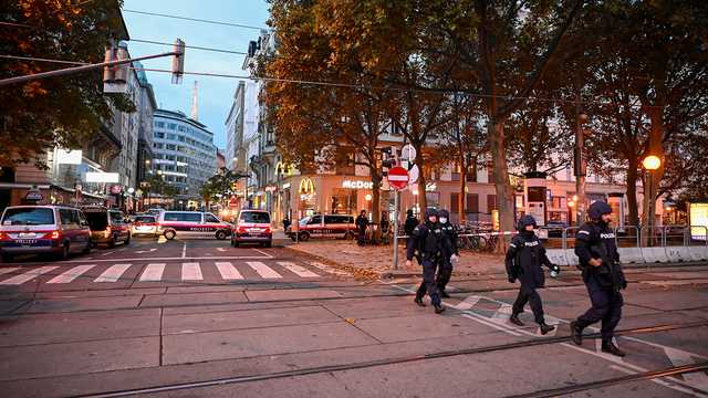 В Австрии задержали подозреваемого по делу о теракте в Вене