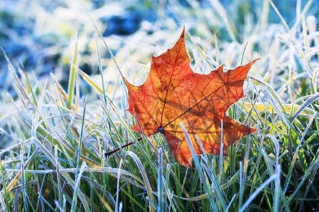 До ночных морозов: синоптик рассказала о погоде в Украине