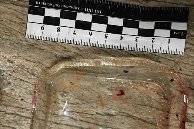 В Харькове брат начальника управления СБУ забил человека до смерти бутылкой