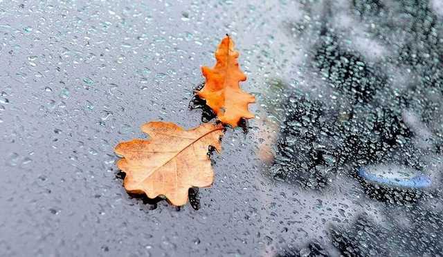 У неділю у східних областях сніг, у Києві – дощ