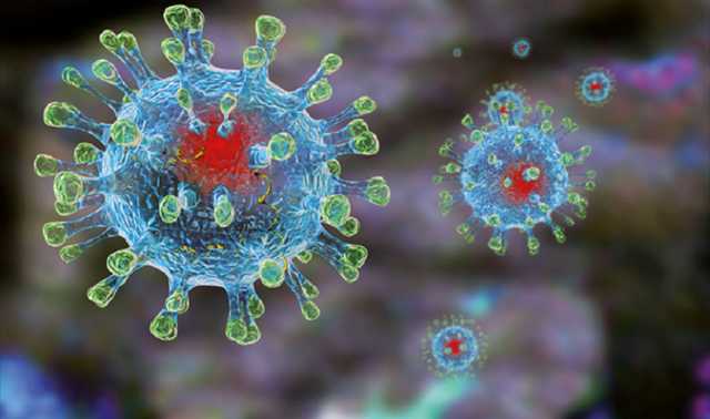 Коронавирус остается на поверхности пленкой: ученые уточнили опасность передачи