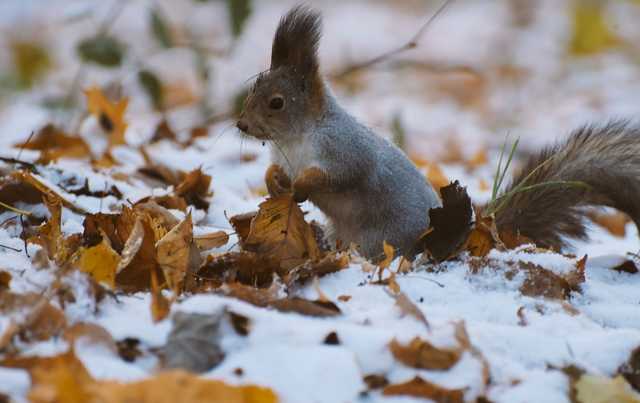 Большинство областей Украины в субботу накроют дожди и снег