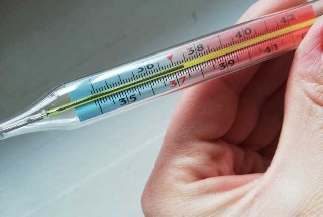 Температуру 37 надо сбивать: врач из Израиля развенчал популярный миф