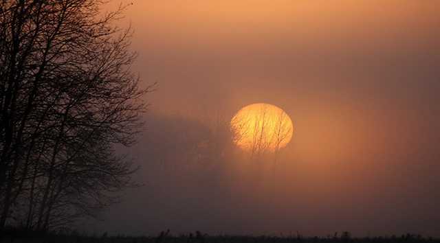 Украинцев ждет ощутимое тепло: появился прогноз погоды на субботу