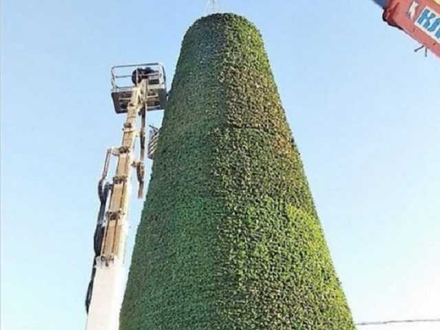 "Какой год, такая и елка": сеть рассмешило главное новогоднее "дерево" Симферополя