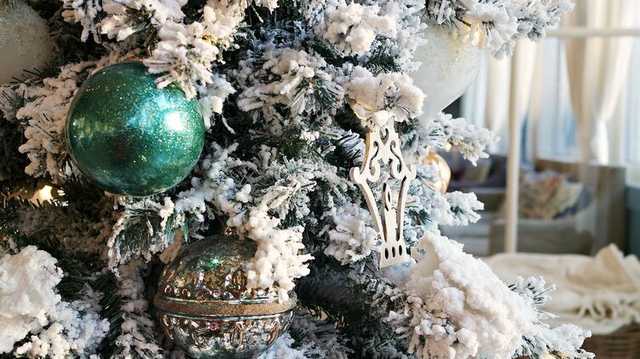 Ёлки Киева обработают раствором с неприятным запахом, чтоб спасти их от вырубки