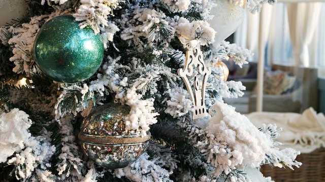 В Украине орудуют мошенники, продающие ёлки через Интернет