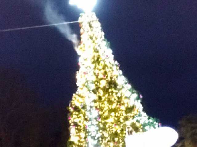 Не выдержала напряжения: на львовском курорте задымилась новогодняя елка