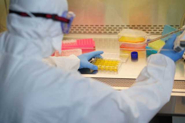 Зачем делать прививку, если коронавирус мутирует — эпидемиологи