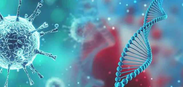 В Украине назвали вероятный "источник" нового коронавируса-мутанта