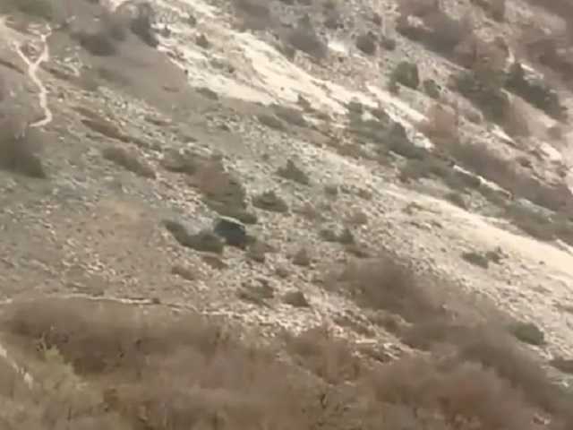 Ребенок едва успел выскочить из авто: жуткий инцидент в Крыму попал на видео