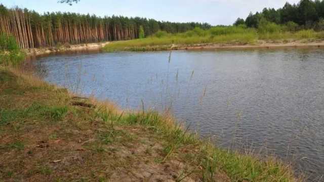 Guardian: Работы по углублению дна на реке Припять угрожают миллионам украинцев