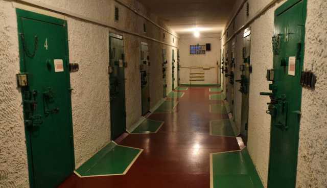 Подвальные страсти. Будни дрындыды