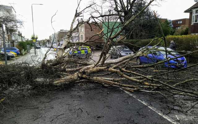 На Британію обрушився шторм “Белла”: повалені дерева та знеструмлені будинки