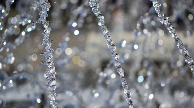 На Волыни мужчина убил коллегу струей воды из моющего аппарата