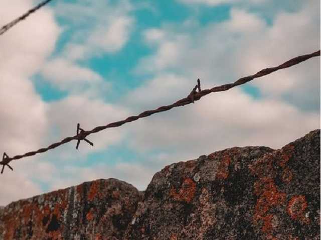 «Считали боевиками ИГИЛ»: Украина получила из плена двух женщин с детьми