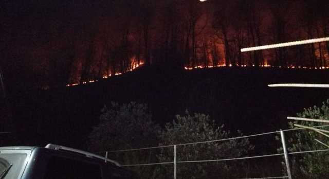 Феерическая встреча Нового года: в российском Сочи из-за фейерверков вспыхнул лесной пожар