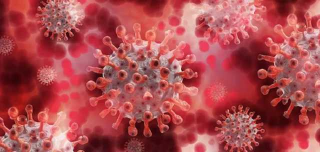 Замсоветника Трампа назвал наиболее вероятную причину возникновения вируса COVID-19