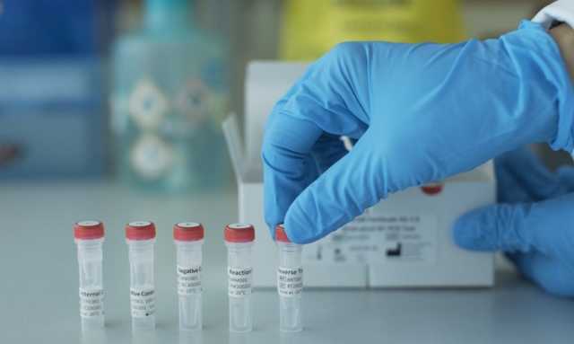 Ученые рассказали, в какой возрастной группе наиболее распространен британский коронавирус-мутант