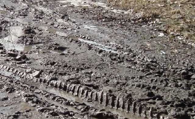 На Львовщине устроили гонки на санках по грязи: забавное видео