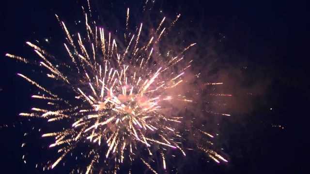 На Ривненщине показали погибших из-за новогодних фейерверков птиц