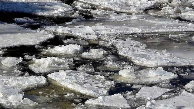 В реках Закарпатья перед Рождеством ожидают подъем воды
