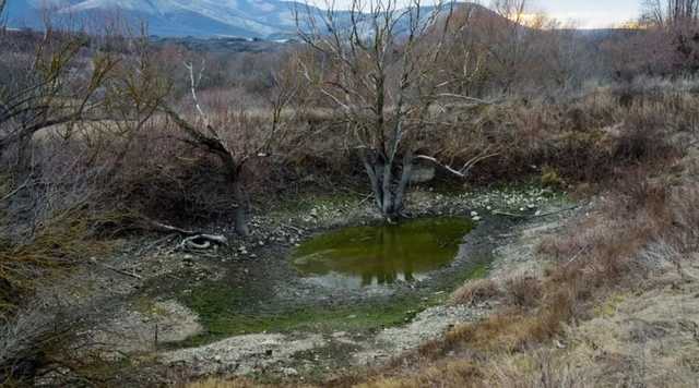 В Крыму пересохли "ванны молодости" из-за водного коллапса