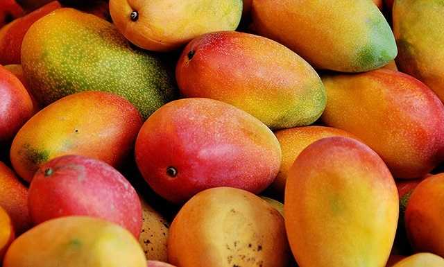 Жители ОРДО показали, сколько стоит манго в неподконтрольном Донецке