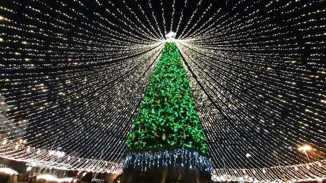 После локдаун-движа на выходных в Киеве решили демонтировать главную елку страны