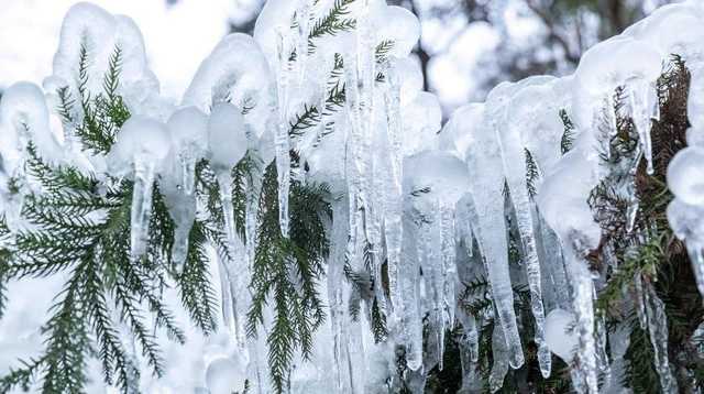 Погодный апокалипсис. Когда на Украину обрушатся снегопады и мороз -26