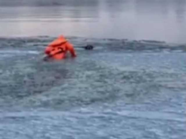 Ползком по тонкому льду: сотрудники ГСЧС геройски спасли собаку из ледяной ловушки