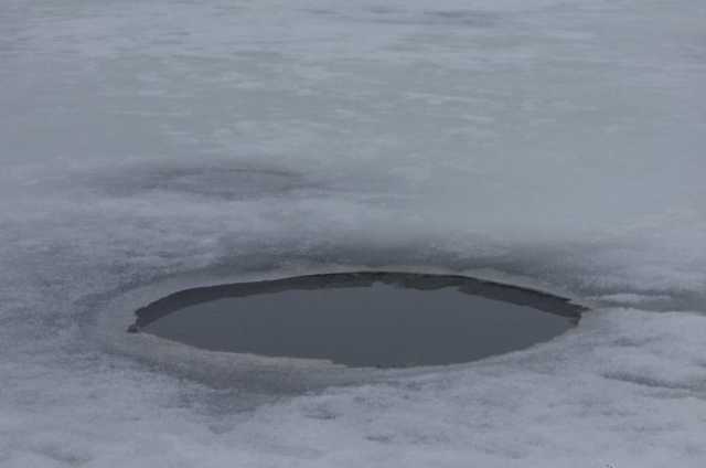В Житомирской области утонул мужчина, который хотел перейти замерзший пруд
