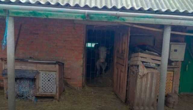 На Полтавщині полковник забив до смерті рідну матір