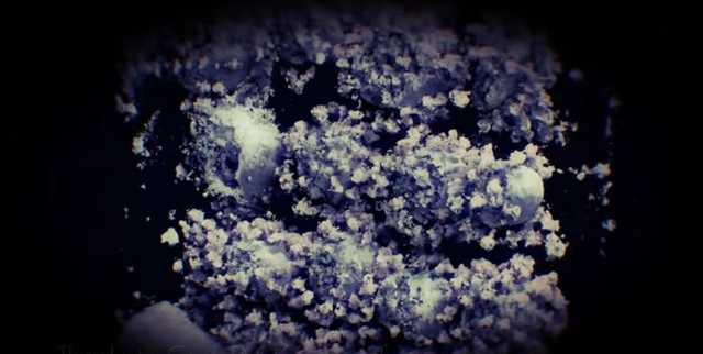 Впервые в мире получено трехмерное фото коронавируса