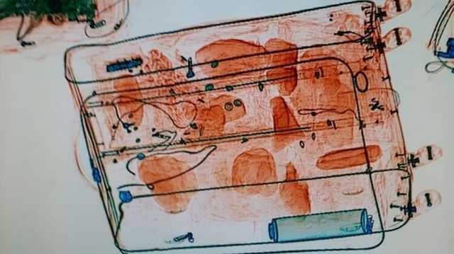 В "Борисполе" задержали контрабандиста, который вез в Дубай 3,5 кг янтаря