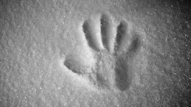 Под Тернополем мужчина погиб в результате переохлаждения