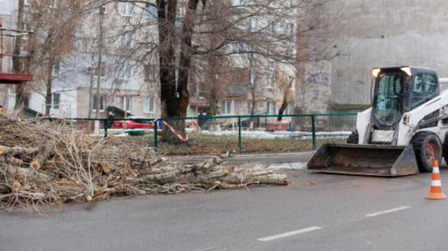 В Киеве сильный ветер сломал деревья, движение на некоторых дорогах усложнено