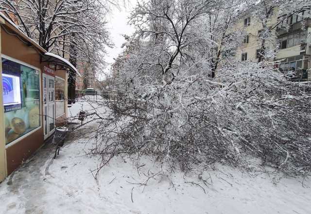 Одессу снова засыпало снегом: на дорогах пробки, падают деревья