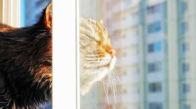 В Киеве фиксируют рекордно теплую температуру третий день подряд