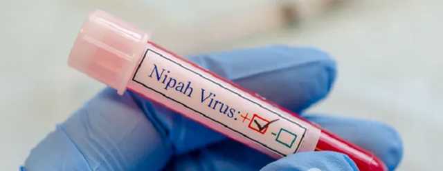 ВОЗ заявила о вероятности новой пандемии из-за вируса Nipah