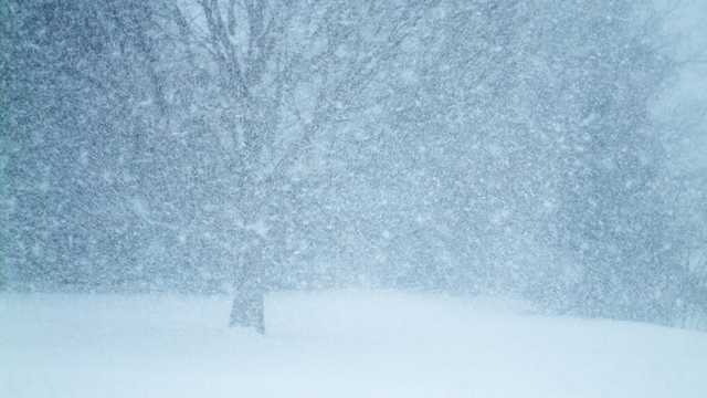 Киев накроет циклон Olaf: опубликован свежий прогноз погоды