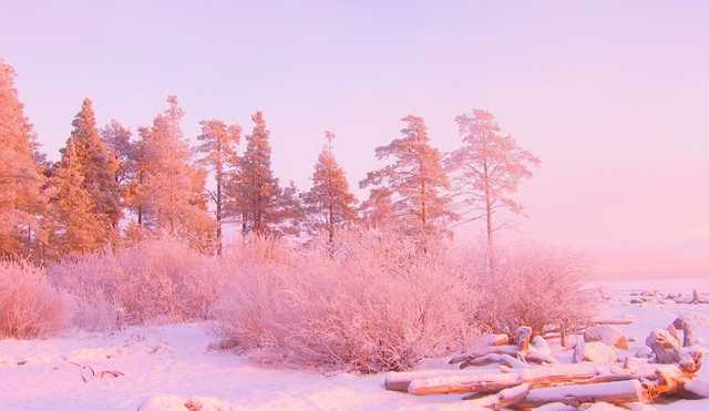 В Україні різко похолодало. Прийшли сильні морози