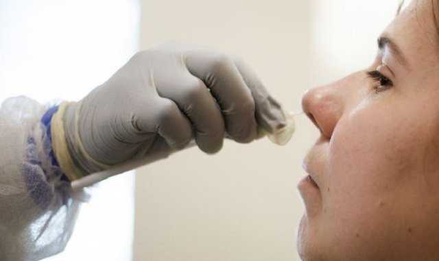 В Испании обнаружили случай заражения бразильским штаммом коронавируса